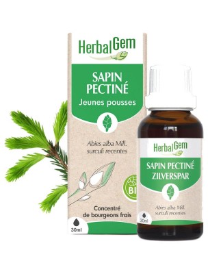 Image 83779 supplémentaire pour Sapin pectiné bourgeon Bio - Minéralisation 30 ml - Herbalgem