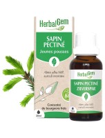 Image de Sapin pectiné bourgeon Bio - Minéralisation 30 ml - Herbalgem depuis Bourgeons pour votre bien-être (10)