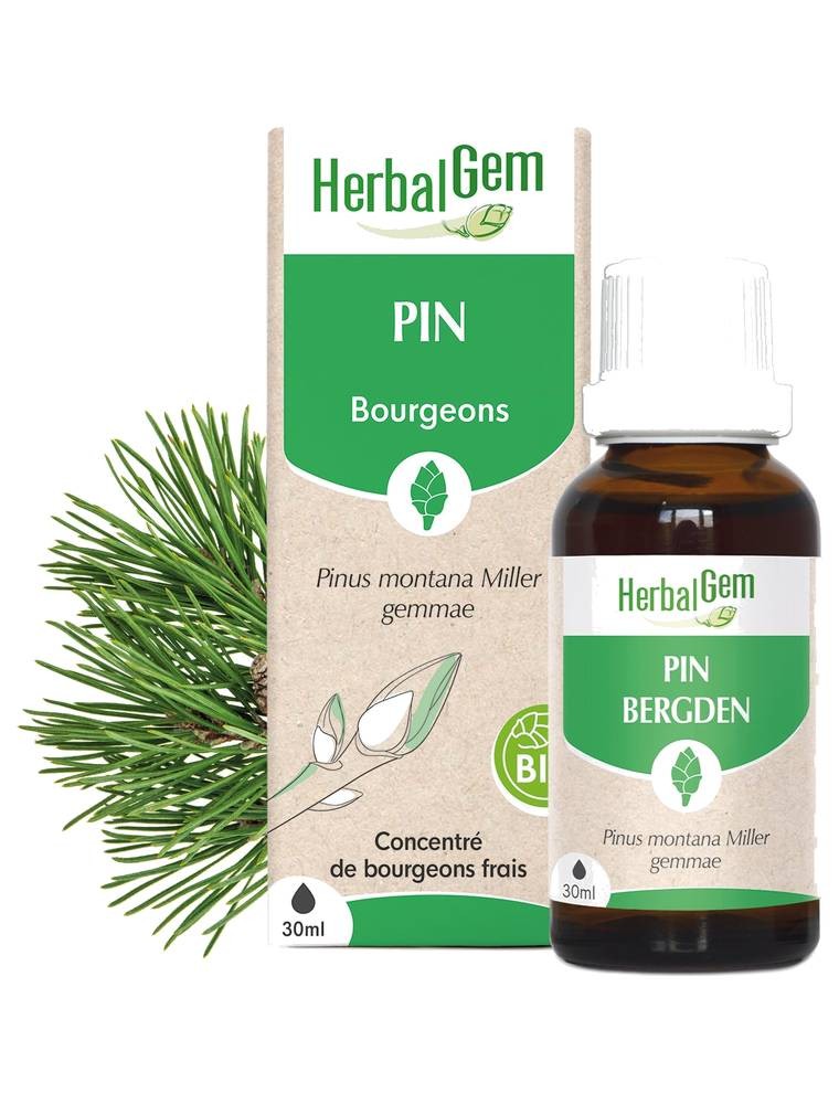 Image principale de la modale pour Pin des montagnes bourgeon Bio - Reminéralisant 30 ml - Herbalgem