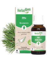 Image de Pin des montagnes bourgeon Bio - Reminéralisant 30 ml - Herbalgem depuis Bourgeons pour votre bien-être (9)