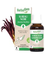 Image de Sureau noir bourgeon Bio - Diurétique et Elimination 30 ml - Herbalgem depuis Bourgeons pour votre bien-être (11)