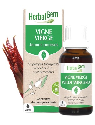 Image 83782 supplémentaire pour Vigne vierge bourgeon Bio - Articulations et tendons 30 ml - Herbalgem