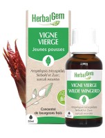 Image de Vigne vierge bourgeon Bio - Articulations et tendons 30 ml - Herbalgem depuis Bourgeons pour votre bien-être (12)