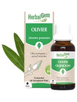 Image de Olivier bourgeon Bio 30 ml - Circulation et Mémoire - Herbalgem depuis Bourgeons pour votre bien-être (8)