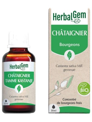 https://www.louis-herboristerie.com/83785-home_default/chataignier-bourgeon-bio-drainage-et-circulation-30-ml-herbalgem.jpg Image 83785 supplémentaire pour Châtaignier bourgeon Bio - Drainage et circulation 30 ml - Herbalgem