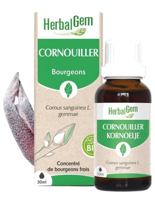 Image de Cornouiller bourgeon Bio - Coeur 30 ml - Herbalgem depuis Achetez les produits Herbalgem à l'herboristerie Louis