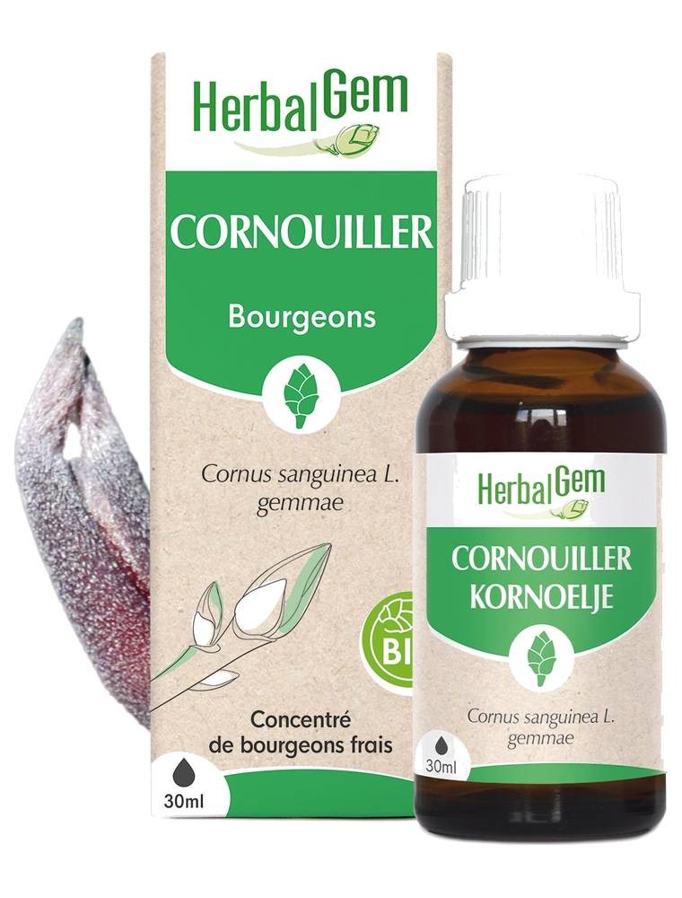Image principale de la modale pour Cornouiller bourgeon Bio - Coeur 30 ml - Herbalgem