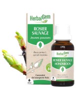 Image de Rosier sauvage bourgeon Bio - Défenses immunitaires de l'enfant - 30 ml Herbalgem depuis Bourgeons pour votre bien-être (10)