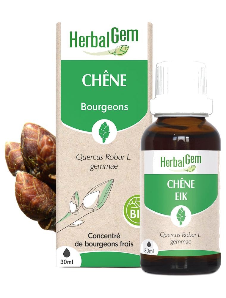 Image principale de la modale pour Chêne bourgeon Bio - Vitalité et énergie 30 ml - Herbalgem