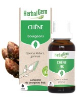 Image de Chêne bourgeon Bio - Vitalité et énergie 30 ml - Herbalgem depuis Bourgeons pour votre bien-être (3)