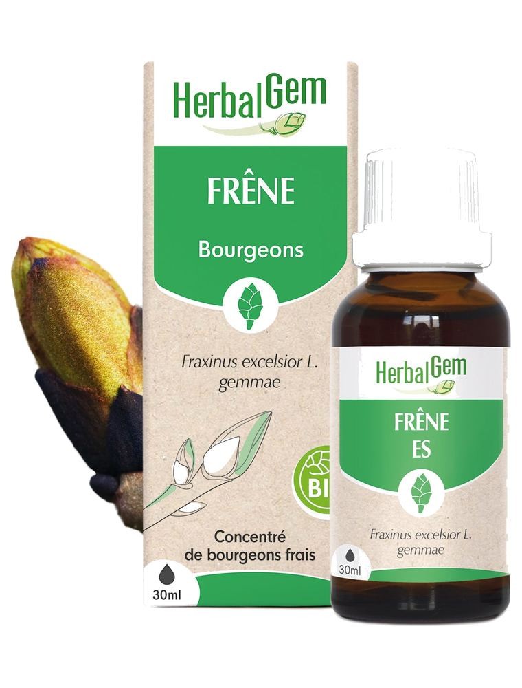 Image principale de la modale pour Frêne bourgeon Bio - Articulations 30 ml - Herbalgem