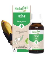 Image de Frêne bourgeon Bio - Articulations 30 ml - Herbalgem depuis Bourgeons pour votre bien-être (5)