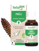Image de Prêle bourgeon Bio - Articulations et drainage 30 ml - Herbalgem depuis Bourgeons pour votre bien-être (9)