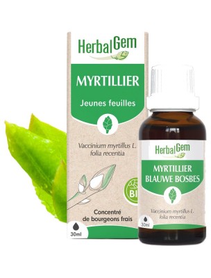 Image de Myrtillier bourgeon Bio - Glycémie et vue 30 ml - Herbalgem depuis louis-herboristerie