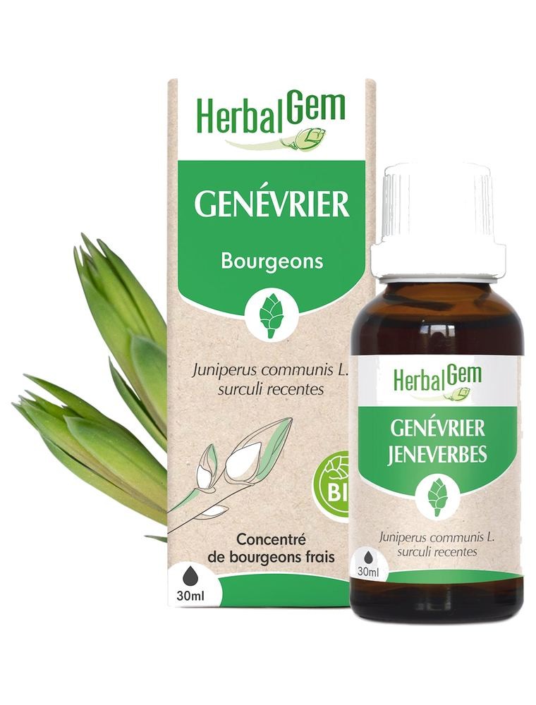 Image principale de la modale pour Genévrier bourgeon Bio - Tonique et dépuratif 30 ml - Herbalgem