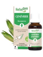 Image de Genévrier bourgeon Bio - Tonique et dépuratif 30 ml - Herbalgem depuis Bourgeons pour votre bien-être (6)