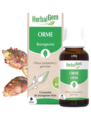 Image de Orme bourgeon Bio - Draineur et Peau 30 ml - Herbalgem depuis Commandez les produits Herbalgem à l'herboristerie Louis