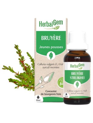 Image de Bruyère bourgeon Bio - Système urinaire 30 ml - Herbalgem depuis louis-herboristerie