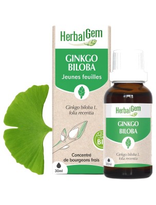 Image 83811 supplémentaire pour Ginkgo biloba bourgeon Bio - Mémoire et circulation 30 ml - Herbalgem