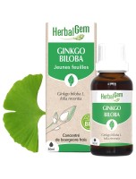 Image de Ginkgo biloba bourgeon Bio - Mémoire et circulation 30 ml - Herbalgem depuis Bourgeons pour votre bien-être (6)
