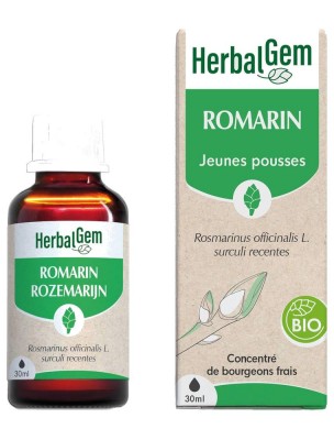 Image 83812 supplémentaire pour Romarin bourgeon Bio - Tonique du foie et de la circulation 30 ml - Herbalgem