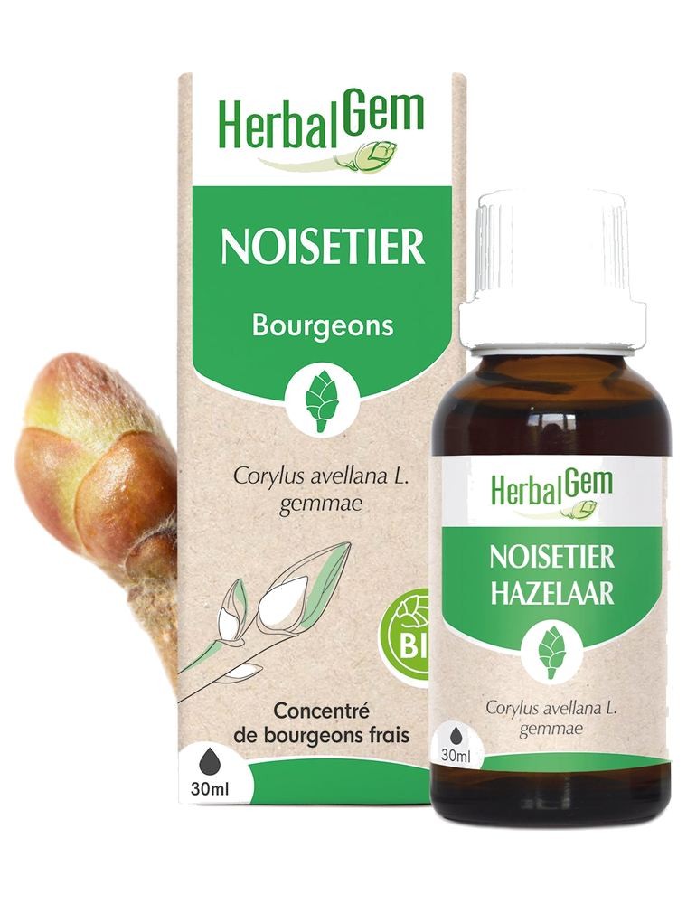 Image principale de la modale pour Noisetier bourgeon Bio - Foie et Poumons 30 ml - Herbalgem