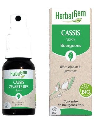 Image de Cassis bourgeon Bio - Articulations et allergies Spray de 15 ml - Herbalgem depuis Achetez les produits Herbalgem à l'herboristerie Louis