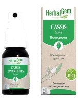 Image de Cassis bourgeon Bio - Articulations et allergies Spray de 15 ml - Herbalgem depuis Bourgeons pour votre bien-être (2)