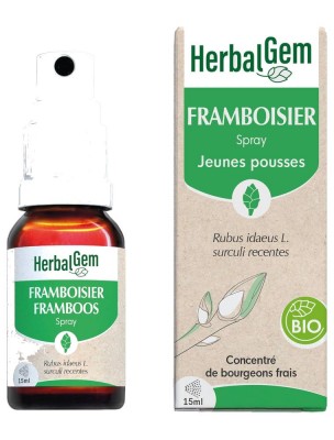 Image de Framboisier bourgeon Bio - Troubles féminins Spray de 15 ml - Herbalgem depuis louis-herboristerie