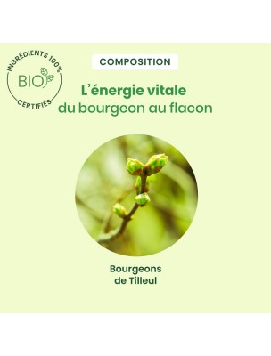 https://www.louis-herboristerie.com/83838-home_default/tilleul-bourgeon-bio-systeme-nerveux-spray-de-15-ml-herbalgem.jpg Image 83838 supplémentaire pour Tilleul bourgeon Bio - Système nerveux Spray de 15 ml - Herbalgem