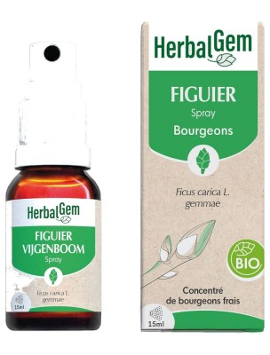 Image de Figuier bourgeon Bio - Stress et digestion Spray de 15 ml - Herbalgem depuis Achetez les produits Herbalgem à l'herboristerie Louis