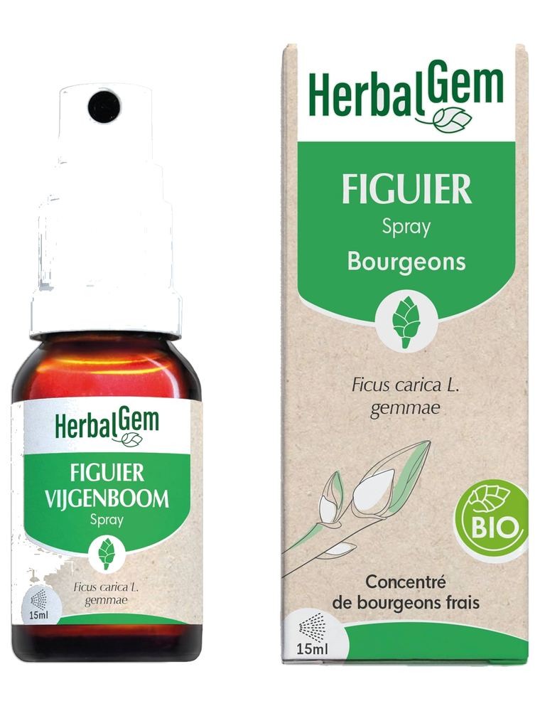 Image principale de la modale pour Figuier bourgeon Bio - Stress et digestion Spray de 15 ml - Herbalgem