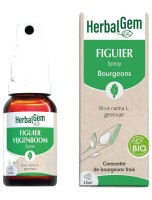 Image de Figuier bourgeon Bio - Stress et digestion Spray de 15 ml - Herbalgem depuis Bourgeons pour votre bien-être (5)