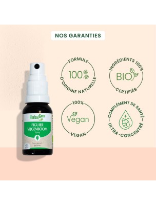 Image 83841 supplémentaire pour Figuier bourgeon Bio - Stress et digestion Spray de 15 ml - Herbalgem