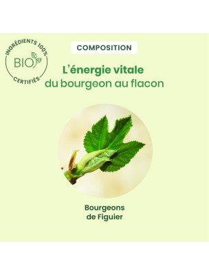 Image 83842 supplémentaire pour Figuier bourgeon Bio - Stress et digestion Spray de 15 ml - Herbalgem
