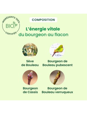 https://www.louis-herboristerie.com/83846-home_default/seve-de-bouleau-bio-depuraseve-250-ml-herbalgem.jpg Image 83846 supplémentaire pour Sève de bouleau Bio - DépuraSève 250 ml - Herbalgem
