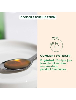 https://www.louis-herboristerie.com/83847-home_default/seve-de-bouleau-bio-depuraseve-250-ml-herbalgem.jpg Image 83847 supplémentaire pour Sève de bouleau Bio - DépuraSève 250 ml - Herbalgem