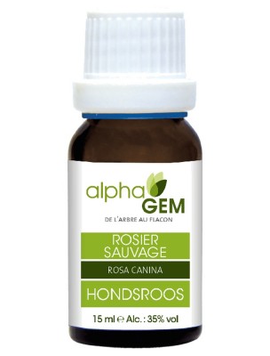 Image de Rosier sauvage Macérat de jeunes pousses Bio - Rosa canina 15 ml - Alphagem depuis Commandez les produits AlphaGEM à l'herboristerie Louis