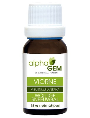 Image de Viorne Macérat de bourgeons Bio - Viburnum lantana 15 ml - Alphagem depuis Commandez les produits AlphaGEM à l'herboristerie Louis