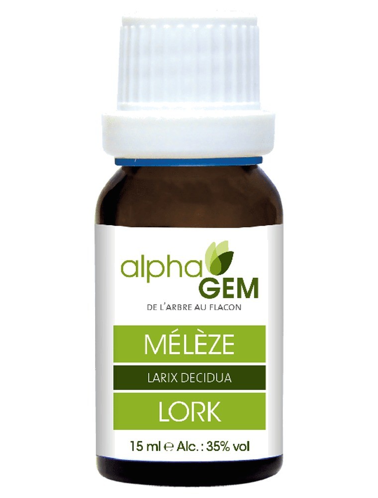 Image principale de la modale pour Mélèze Macérat de bourgeons Bio - Larix decidua 15 ml - Alphagem