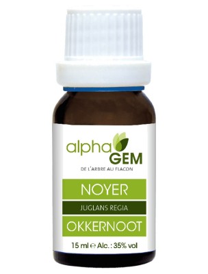 Image 83950 supplémentaire pour Noyer Macérat de bourgeons Bio - Juglans regia 15 ml - Alphagem