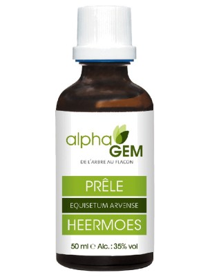 Image de Prêle Macérat de jeunes pousses Bio - Equisetum arvense 50 ml - Alphagem depuis Commandez les produits AlphaGEM à l'herboristerie Louis
