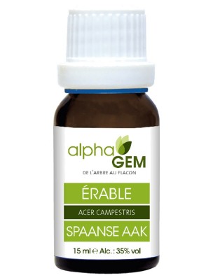 Image de Erable Macérat de bourgeons Bio - Acer campestris 15 ml - Alphagem depuis Commandez les produits AlphaGEM à l'herboristerie Louis