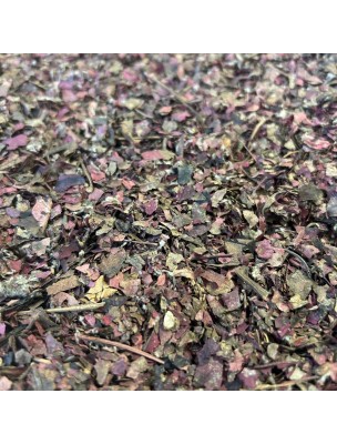 https://www.louis-herboristerie.com/83981-home_default/vigne-rouge-feuille-coupee-100g-tisane-de-vitis-vinifera-l.jpg Image 83981 supplémentaire pour Vigne Rouge - Feuille coupée 100g - Tisane de Vitis vinifera L.