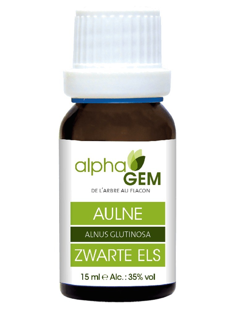 Image principale de la modale pour Aulne Macérat de bourgeons Bio - Alnus glutinosa 15 ml - Alphagem
