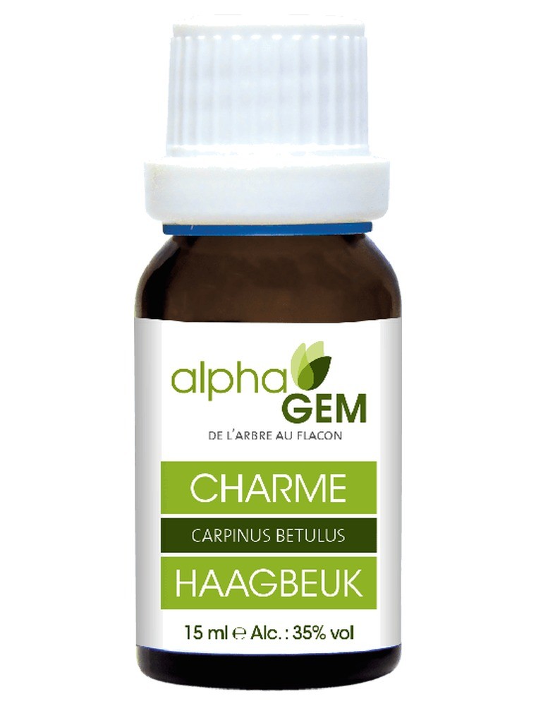Image principale de la modale pour Charme Macérat de bourgeons Bio - Carpinus betulus 15 ml - Alphagem