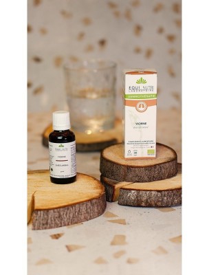 https://www.louis-herboristerie.com/84030-home_default/viorne-macerat-de-bourgeon-bio-peau-et-respiration-30-ml-equi-nutri.jpg Image 84030 supplémentaire pour Viorne Macérat de Bourgeon Bio - Peau et Respiration 30 ml - Equi-Nutri