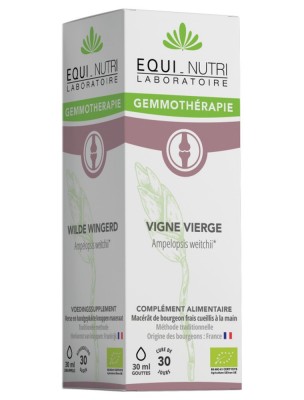 https://www.louis-herboristerie.com/84031-home_default/vigne-vierge-macerat-de-bourgeon-bio-articulations-30-ml-equi-nutri.jpg Image 84031 supplémentaire pour Vigne Vierge Macérat de Jeune Pousse Bio - Articulations 30 ml - Equi-Nutri
