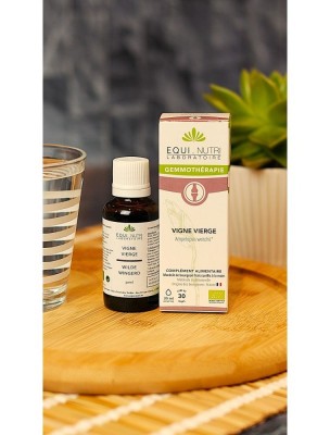 https://www.louis-herboristerie.com/84032-home_default/vigne-vierge-macerat-de-bourgeon-bio-articulations-30-ml-equi-nutri.jpg Image 84032 supplémentaire pour Vigne Vierge Macérat de Jeune Pousse Bio - Articulations 30 ml - Equi-Nutri