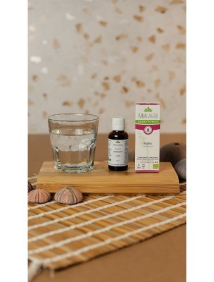 https://www.louis-herboristerie.com/84036-home_default/tilleul-macerat-de-bourgeon-bio-detente-et-digestion-30-ml-equi-nutri.jpg Image 84036 supplémentaire pour Tilleul Macérat de Bourgeon Bio - Détente et Digestion 30 ml - Equi-Nutri